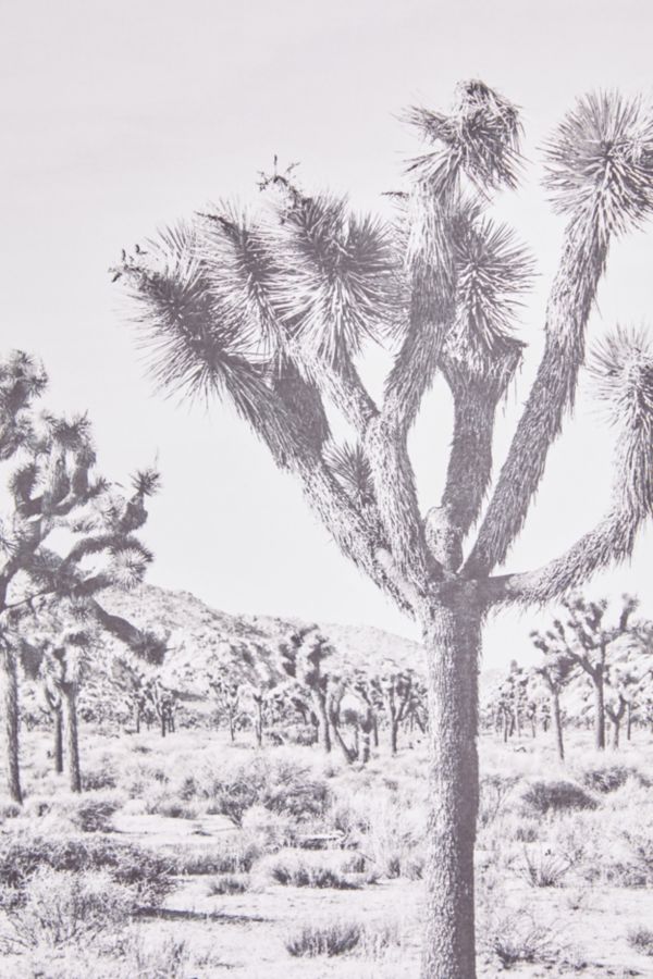 Slide View: 4: Bree Madden For Deny Joshua Tree Dowel Art Print