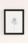 Thumbnail View 2: Reproduction artistique Single Peony Illustration The Colour Study