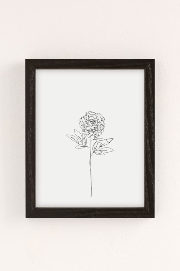 Slide View: 2: Reproduction artistique Single Peony Illustration The Colour Study