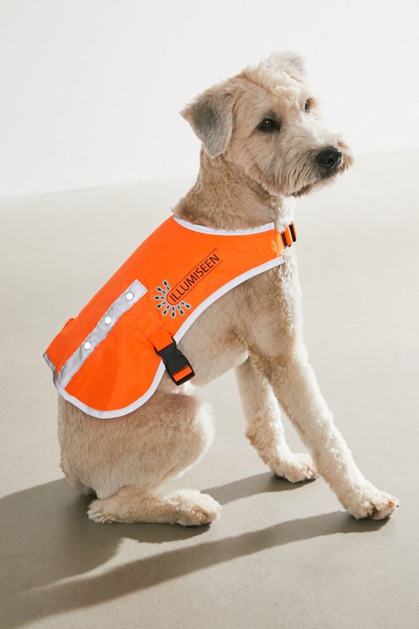 Slide View: 1: Illumiseen LED Dog Vest