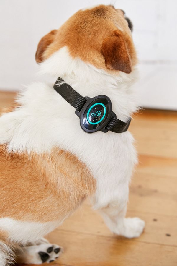Slide View: 1: Pet Acoustics Ultra Calmer Collar