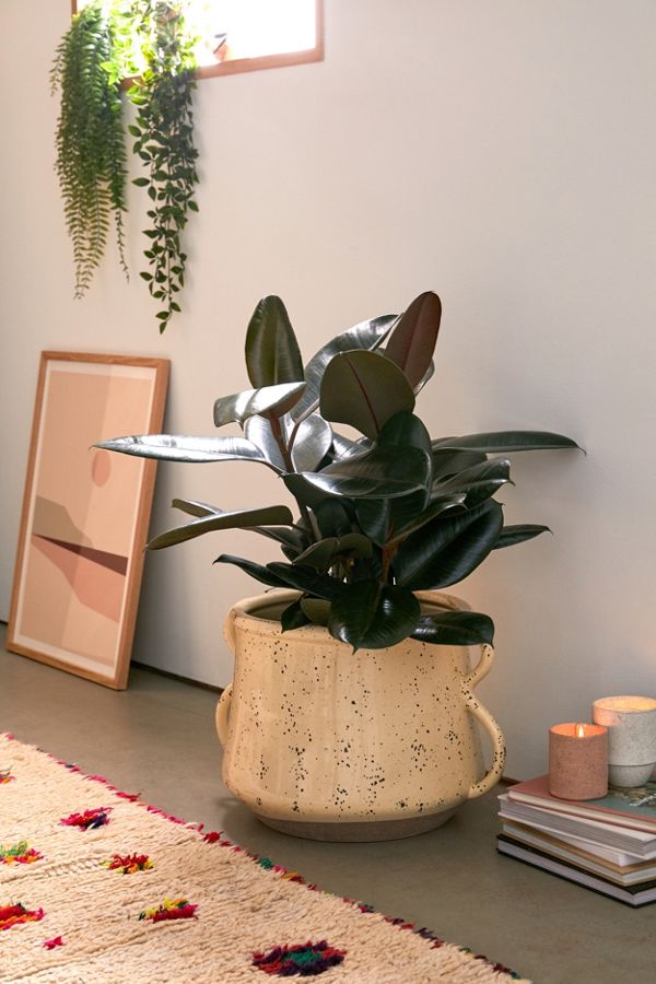Slide View: 1: Kiera Speckled Ceramic 12” Planter