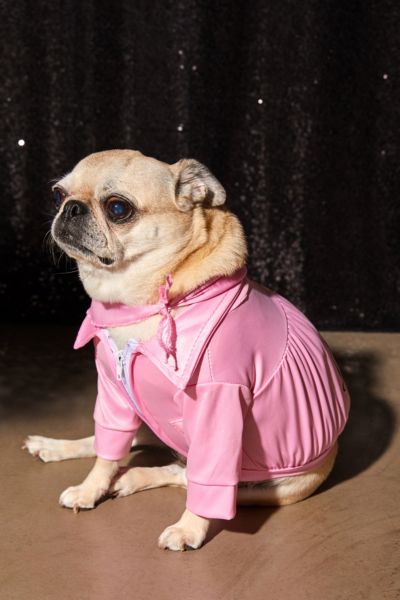 pink ladies dog jacket