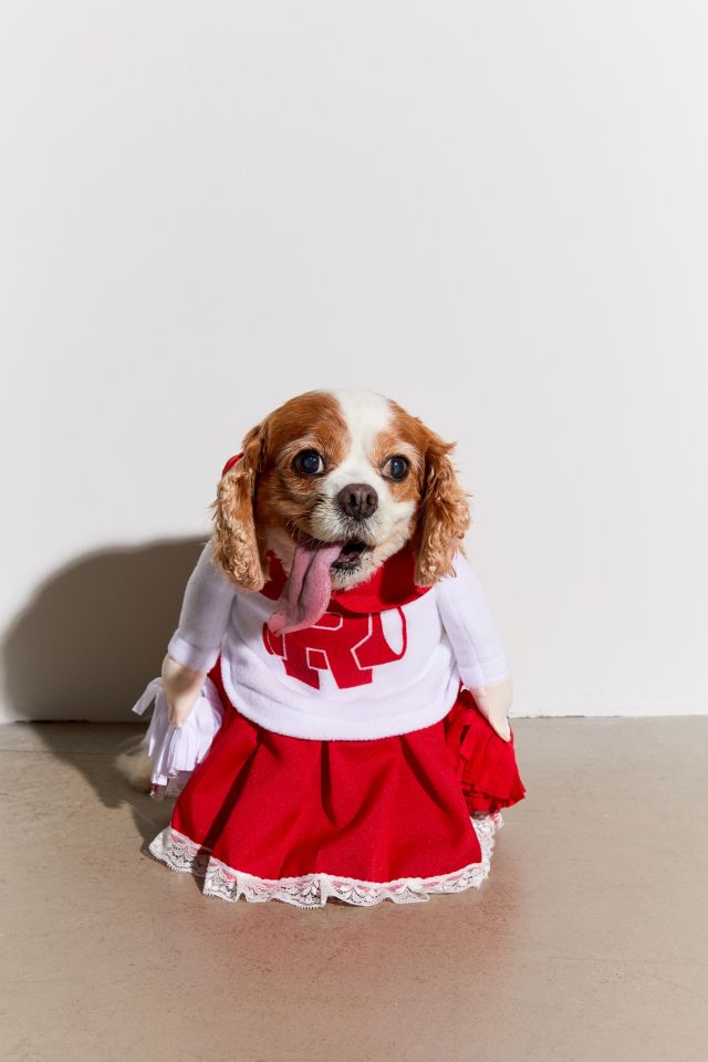 Cheerleader Dog Halloween Costume | Urban Outfitters