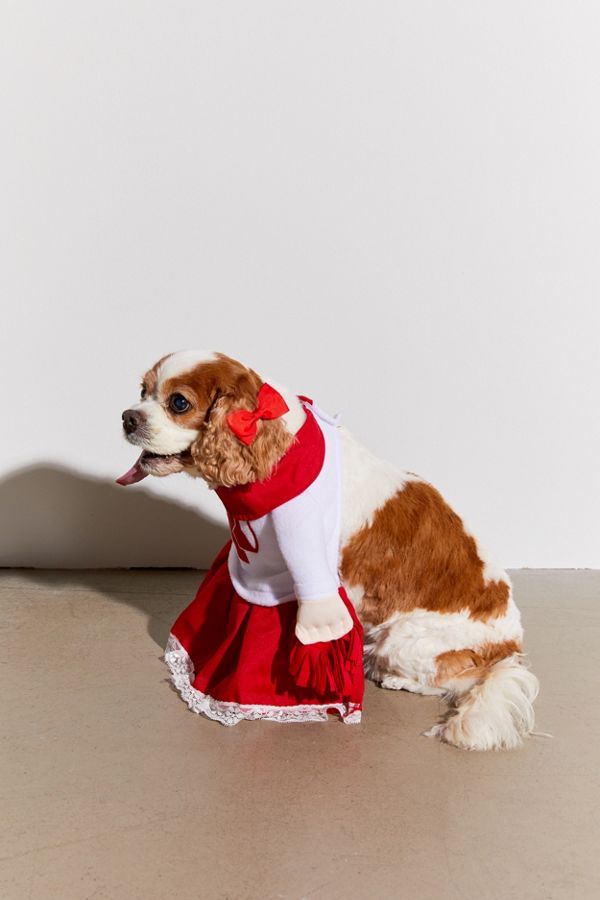 Cheerleader Dog Halloween Costume Urban Outfitters