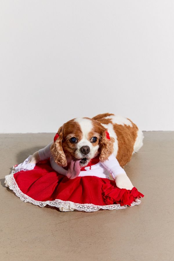 Cheerleader Dog Halloween Costume Urban Outfitters