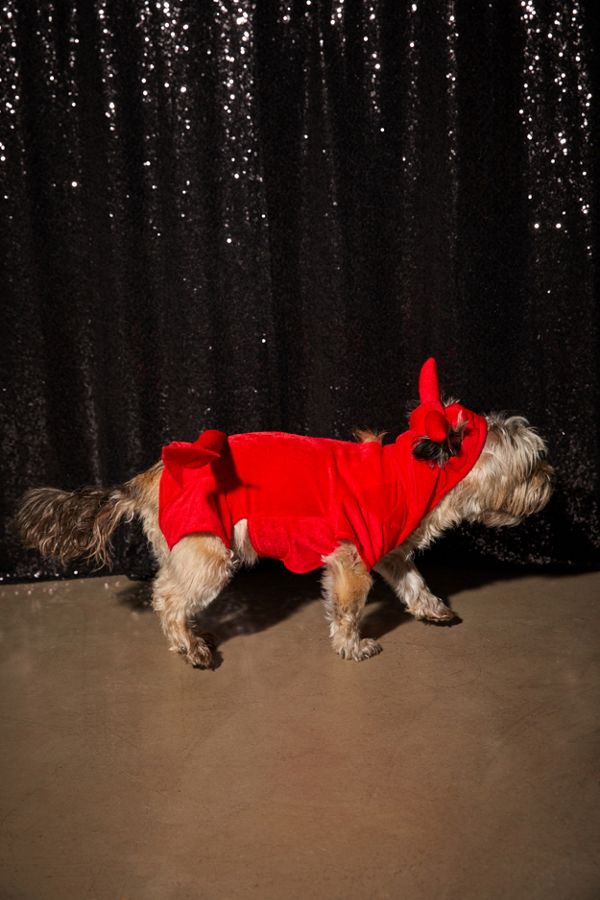 Devil Dog Halloween Costume Urban Outfitters
