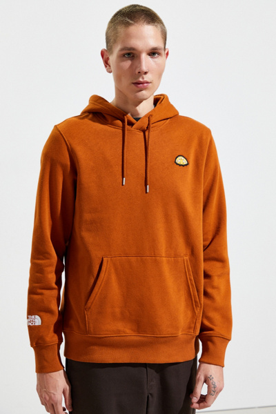 the north face dare to disrupt pullover hoodie