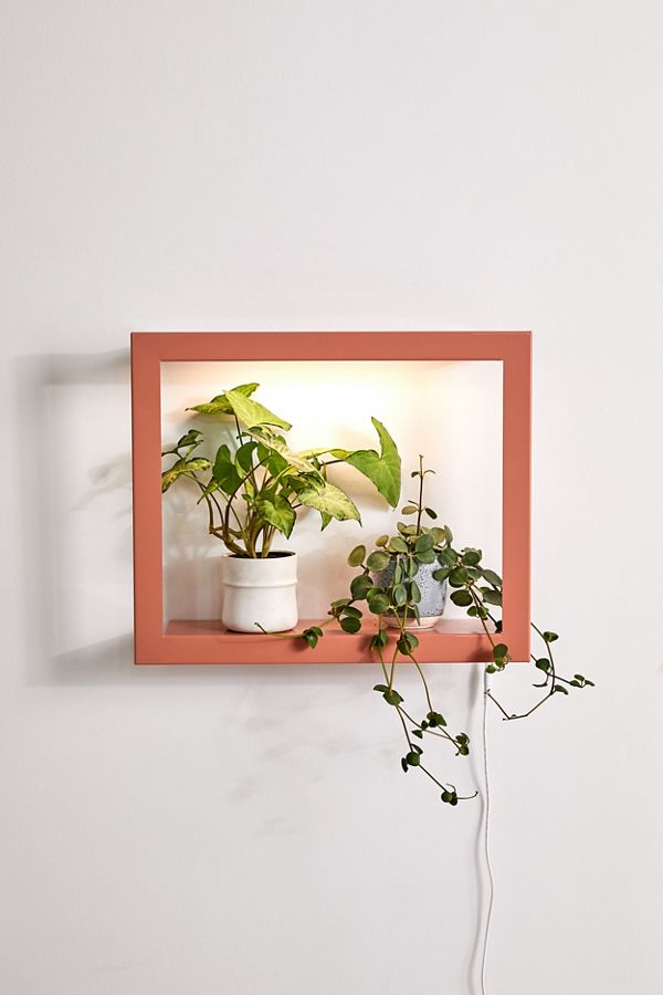 Slide View: 1: Modern Sprout Growframe