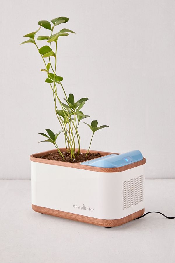 Slide View: 1: Dewplanter
