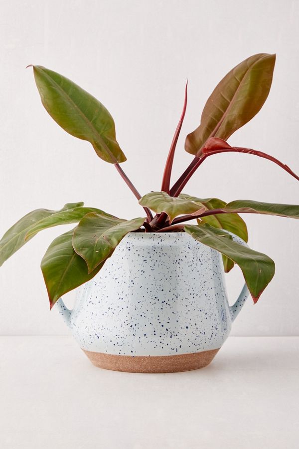 Slide View: 1: Kiera Speckled Ceramic 8" Planter