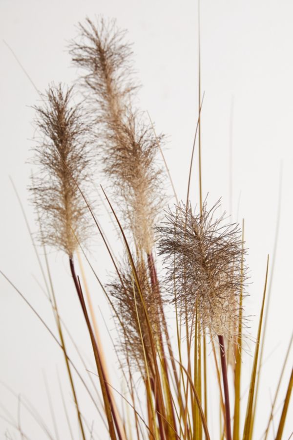 Pampas Grass Potted Faux Plant Urban Outfitters