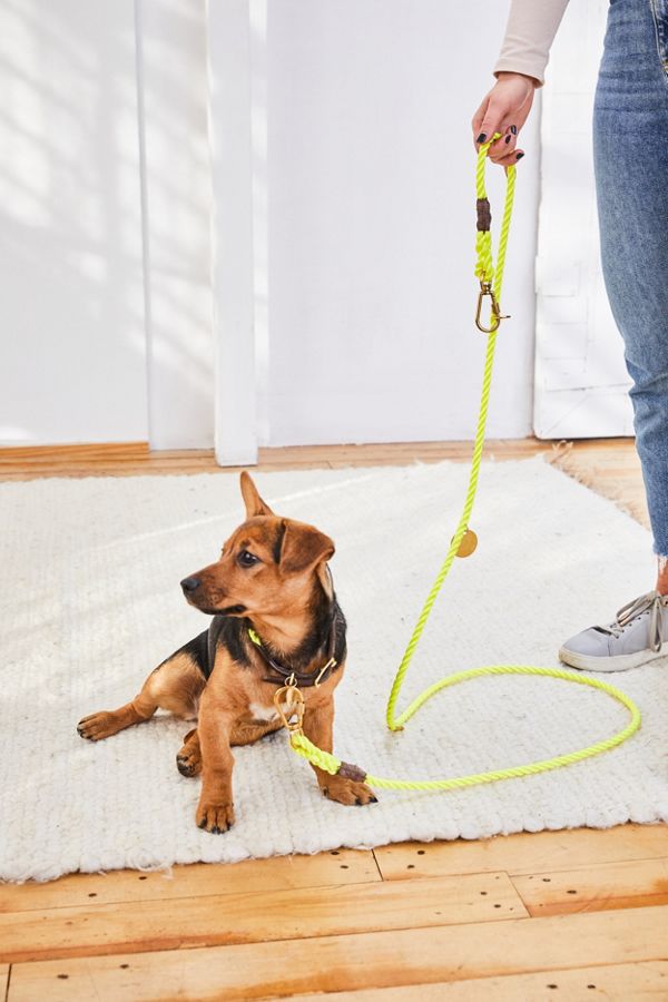 Slide View: 3: Found My Animal Rope Dog Leash