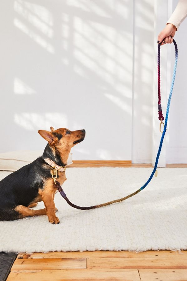 Slide View: 1: Found My Animal Rope Dog Leash