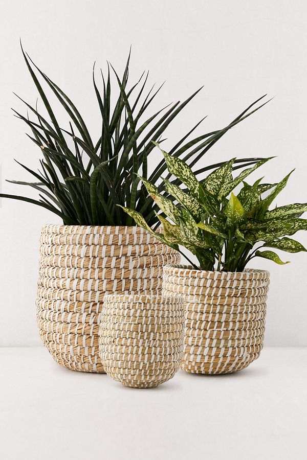 Slide View: 1: Dia Natural Basket Planter