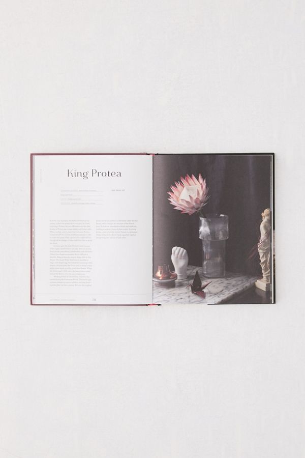 Paper Flowers Extraordinary Botanicals and How to Craft Them