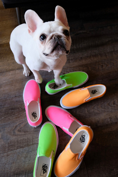 neon pink slip on vans