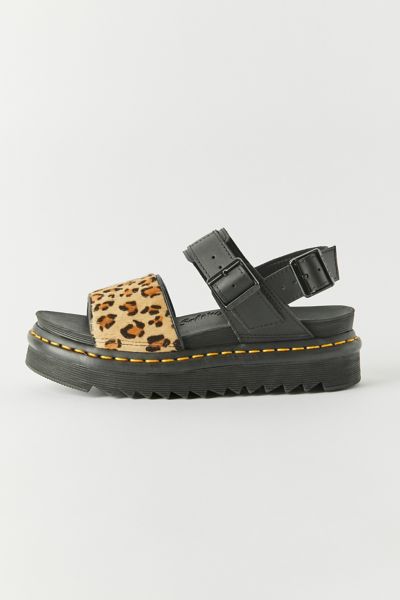 dr martens cow print