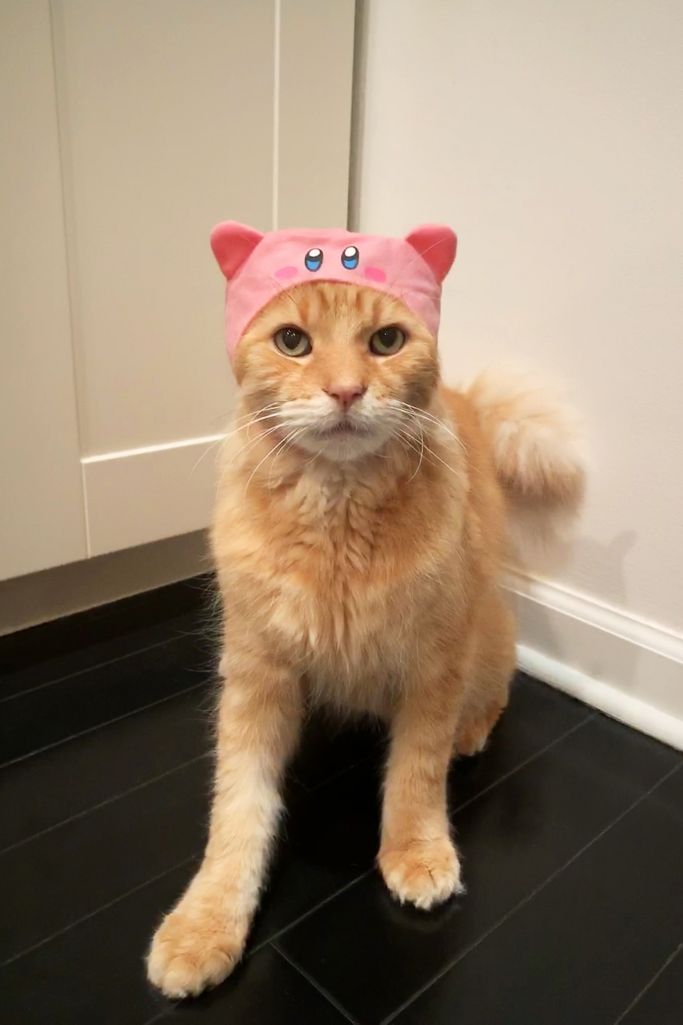 Bonnet Pour Chat De Kirby Urban Outfitters Canada