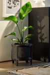 Thumbnail View 1: Rattan 12" Planter