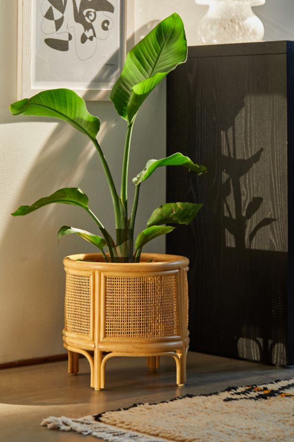 Rattan 12" Planter Urban Outfitters Canada