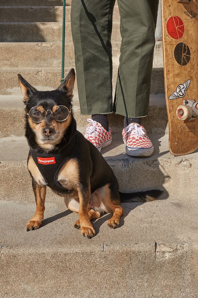 Round Pet Glasses Urban Outfitters