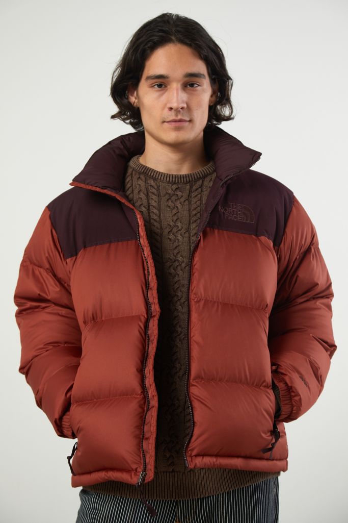 بشكل أساسي مندوب المحقق The North Face Brown Puffer Sjvbca Org