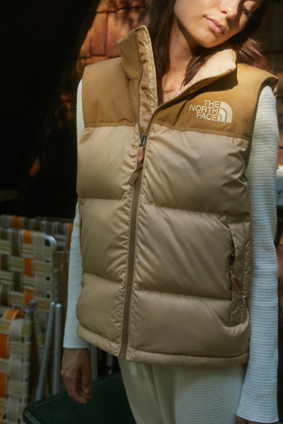 the north face down vest