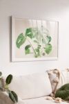 Thumbnail View 1: Sisi And Seb My Monstera Art Print