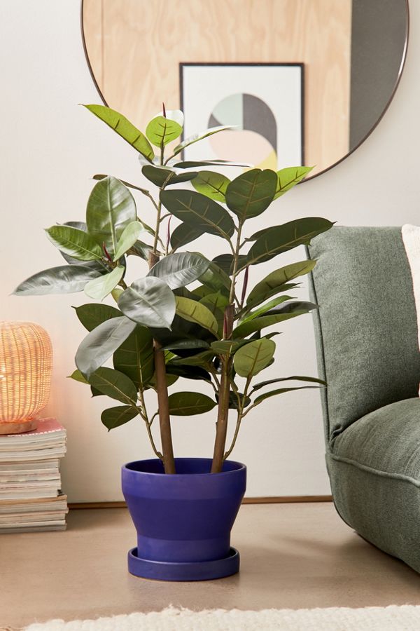 Slide View: 1: Potted Rubber Tree Faux Plant