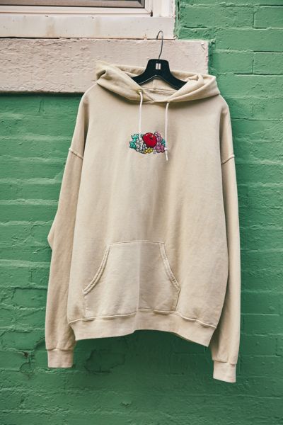 champion fruit hoodie