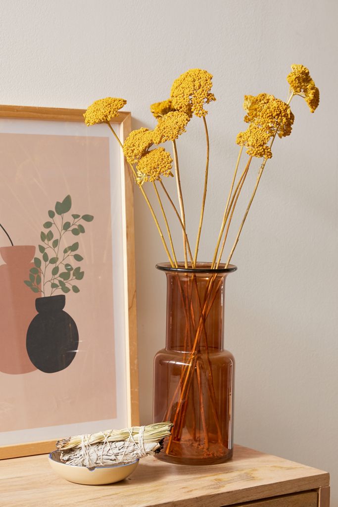 Dried Yarrow Bunch Urban Outfitters