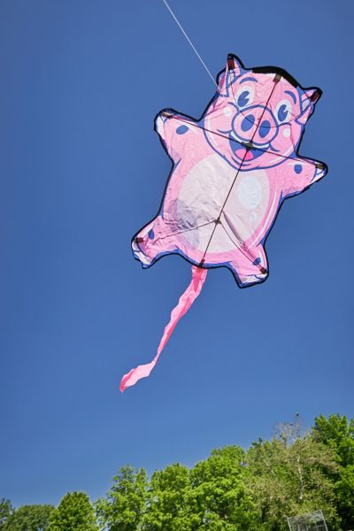wild-wolf-pig-kite-urban-outfitters