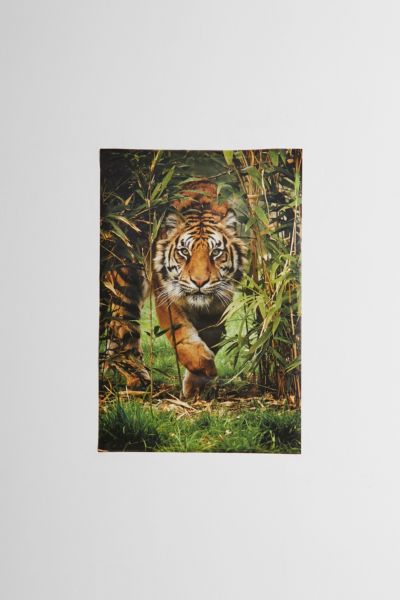 Bamboo Tiger Poster | Urban Outfitters