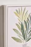 Thumbnail View 3: moderntropical Olive Branches Contemporary B Canvas Art Print