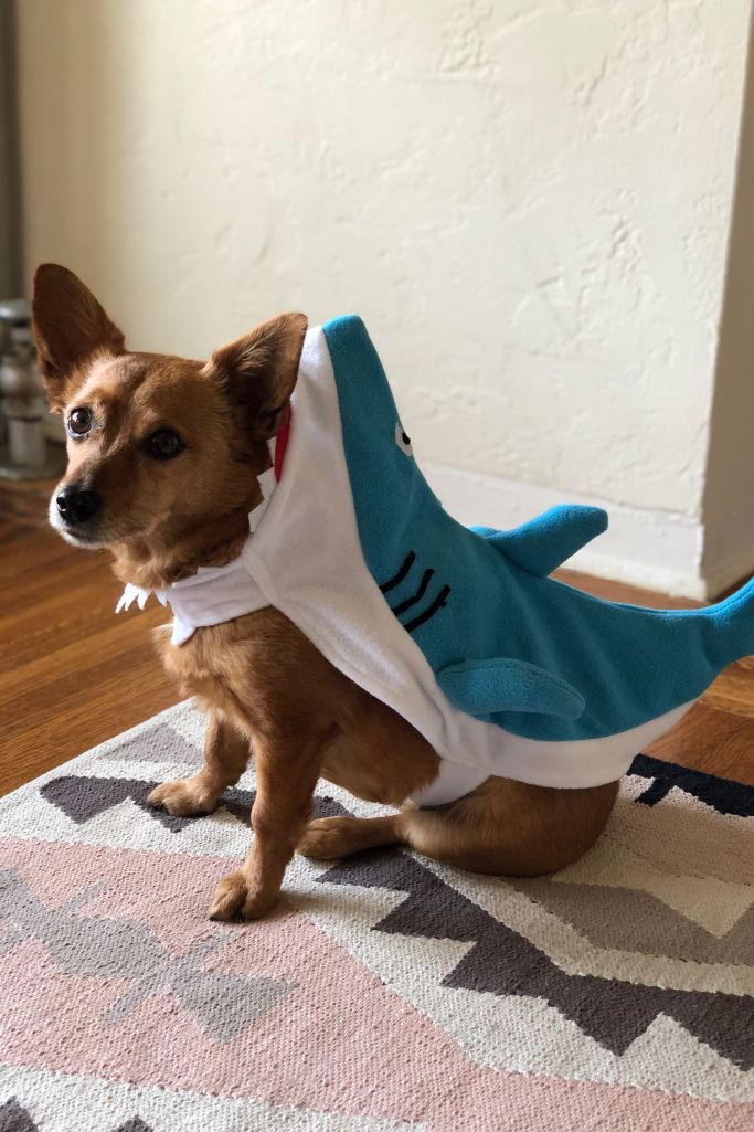Shark Dog Halloween Costume Urban Outfitters