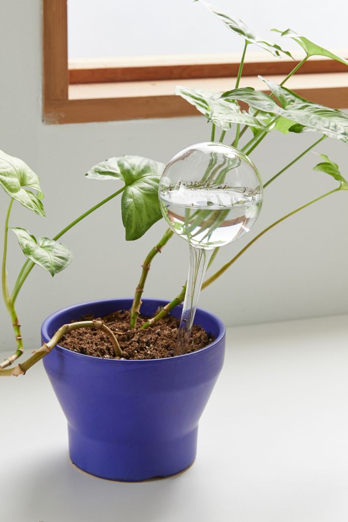 Muurla Watering Bulb Set Urban Outfitters