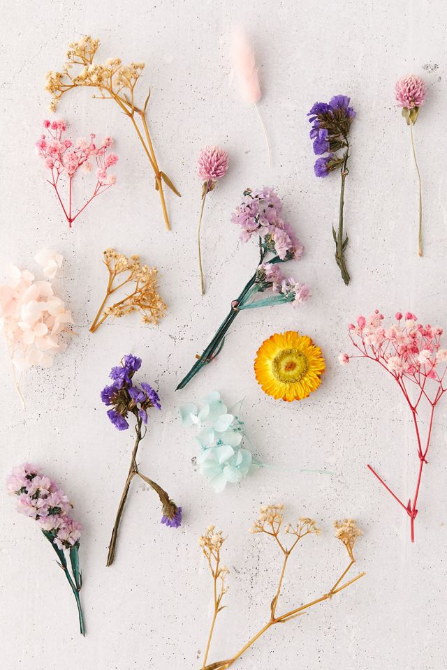 Dried Floral Bunch Urban Outfitters