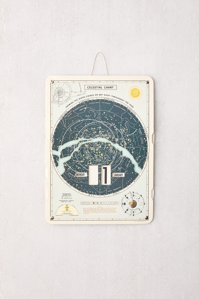 Cavallini Papers Perpetual Chart 365-Day Wall Calendar | Urban Outfitters