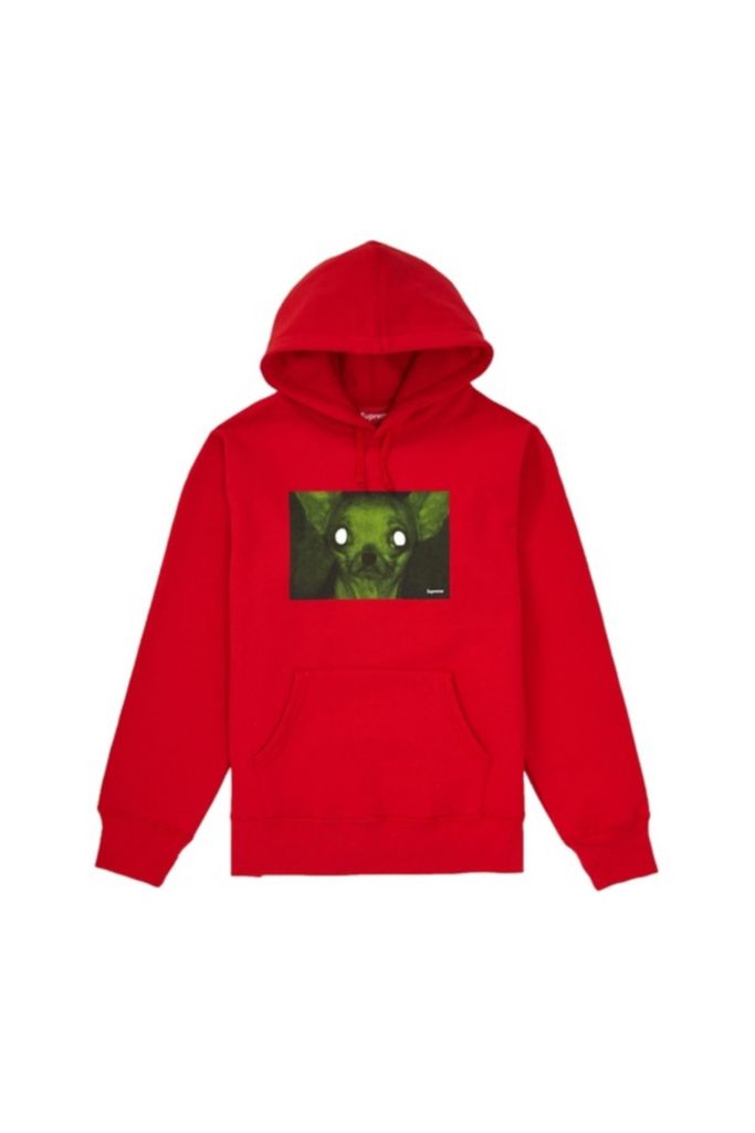 Supreme Chris Cunningham Chihuahua Hooded Sweatshirt | Urban Outfitters