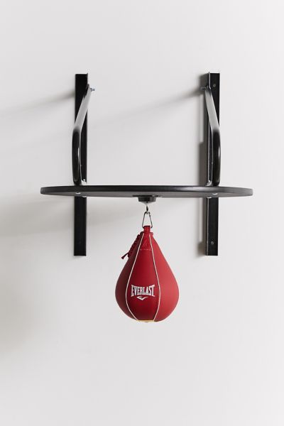 everlast speed bag set