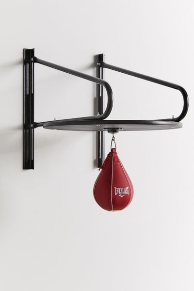 everlast speed bag set