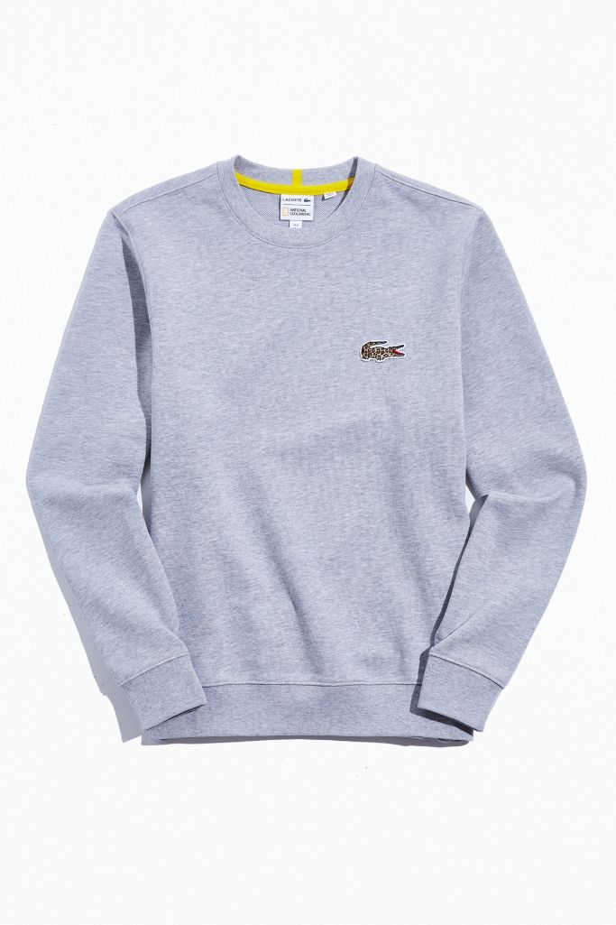 Lacoste Solid Crew Neck Sweatshirt Urban Outfitters