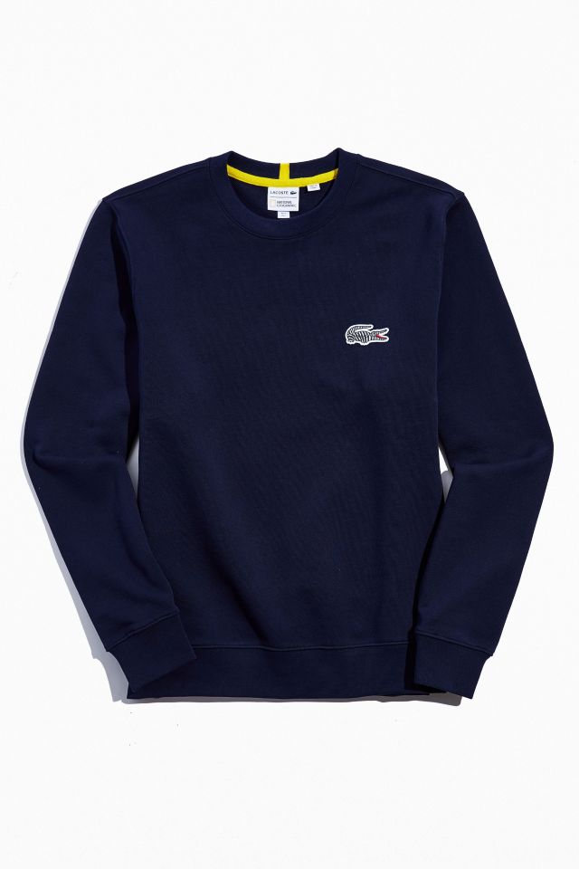 Lacoste Solid Crew Neck Sweatshirt | Urban Outfitters Canada