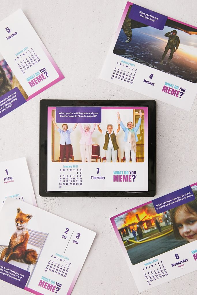 2021 What Do You Meme 365 Day Desk Calendar Urban Outfitters