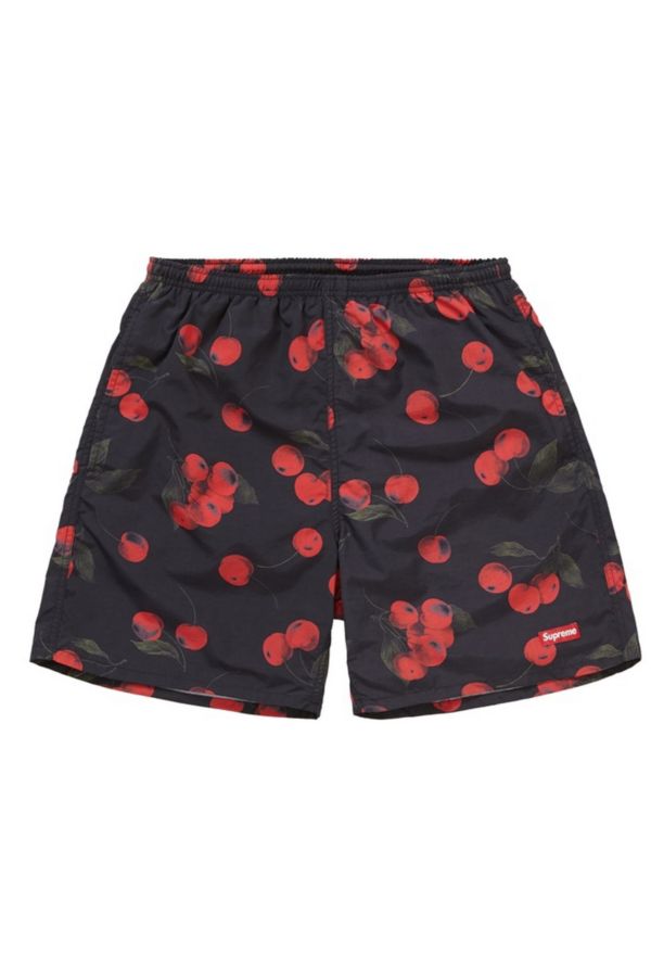 Slide View: 1: Supreme Nylon Water Short (Ss19)