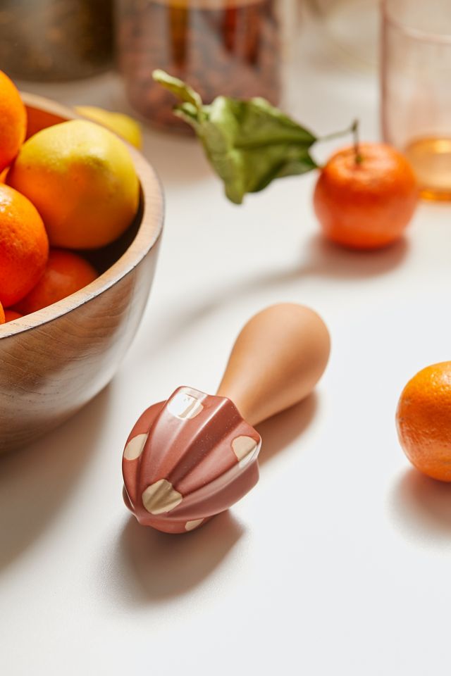 Mushroom Ceramic Citrus Reamer Urban Outfitters Canada