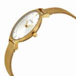 Thumbnail View 2: Skagen Anite Silver Dial Gold-tone Mesh Ladies Watch SKW2150