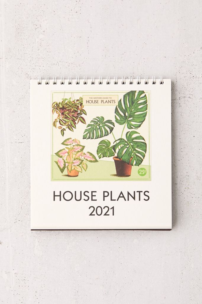 Cavallini Papers 2021 12-Month Desk Calendar | Urban Outfitters