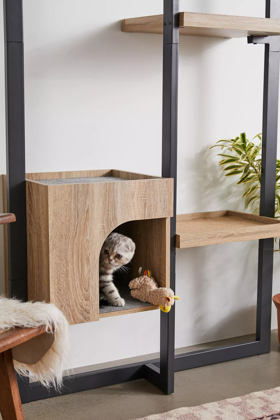 cat shelf that looks like regular shelving for cat friendly interior design ideas